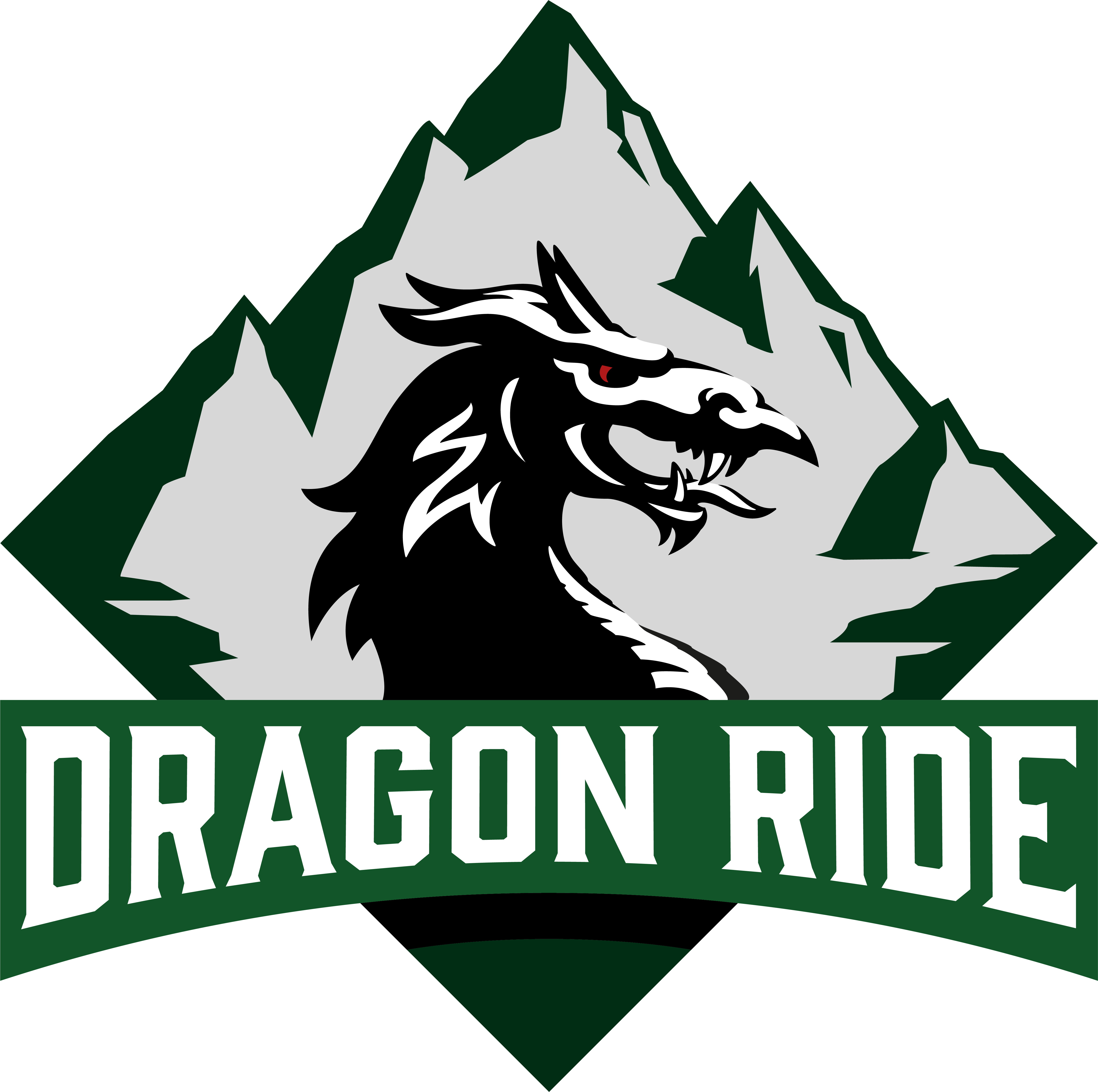 Dragon tour. Dragon Riders logo. City Ride Dragon.